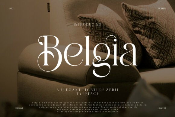 Download Belgia - Premium Resources